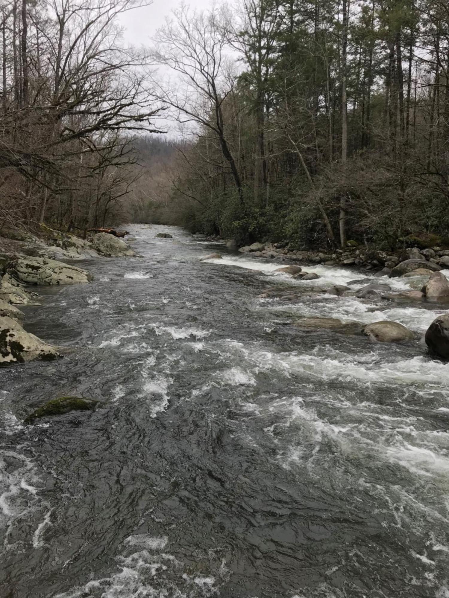 Apartmán Stairway To Heaven, Breathtaking Mtn Views Indoor Pool & Hot Tub Gatlinburg Exteriér fotografie